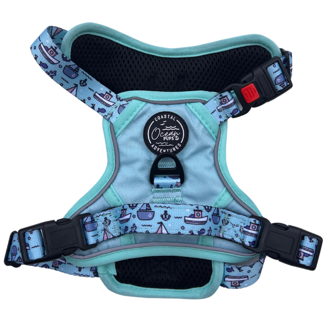 Coastal Adventures - Harness