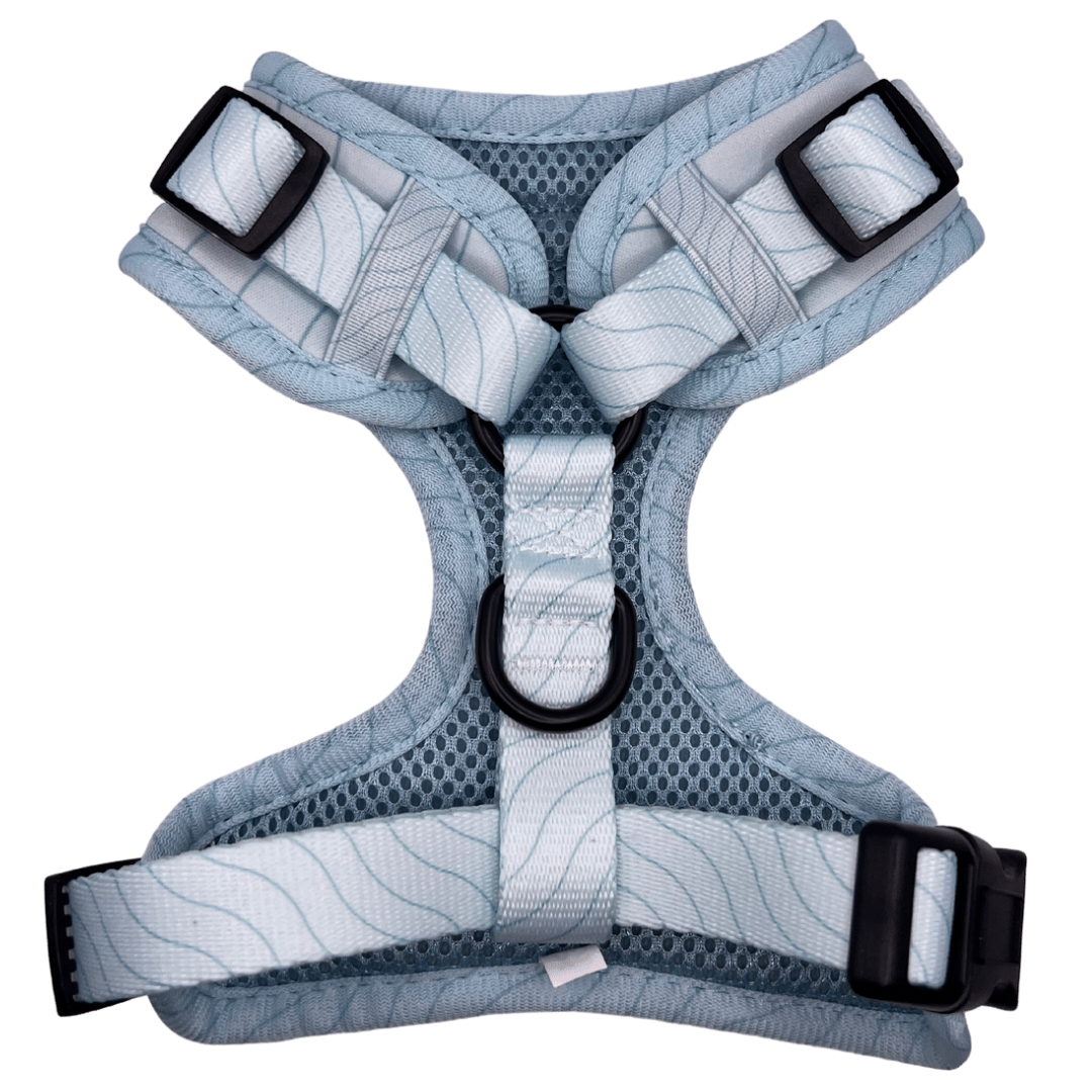 Blue Lagoon - Adjustable Harness