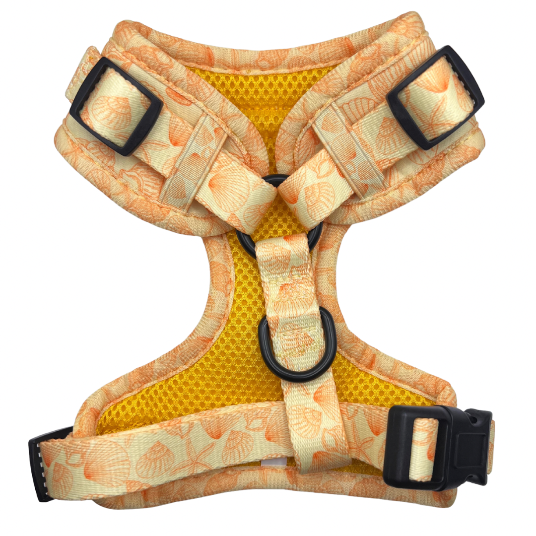Lemon Sorbet - Adjustable Harness