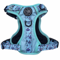 Coastal Adventures - Harness