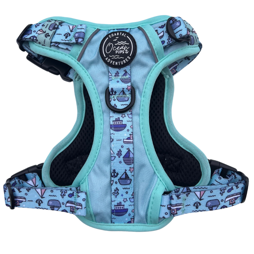 Coastal Adventures - Harness