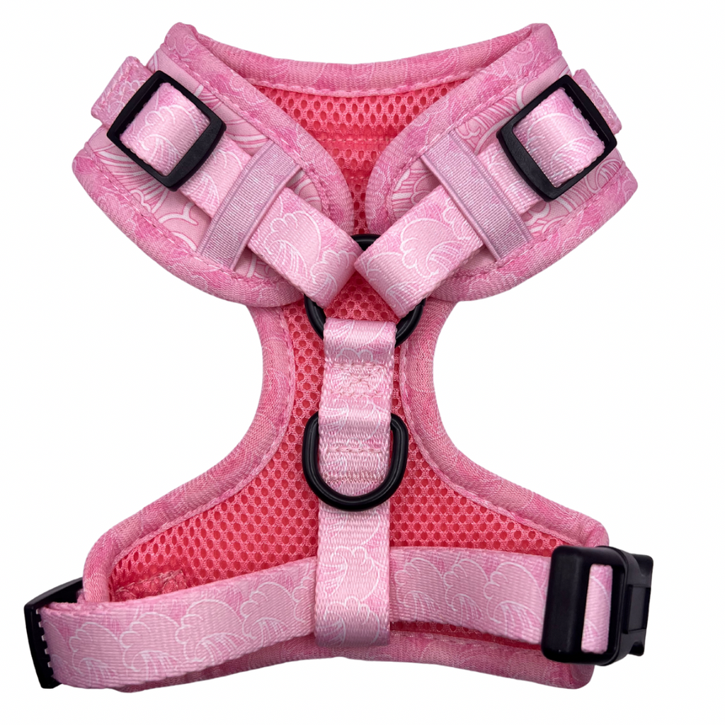 Raspberry Ripple - Adjustable Harness