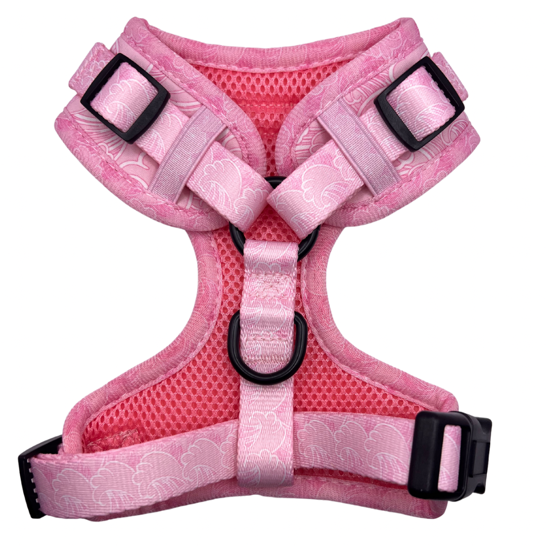 Raspberry Ripple - Adjustable Harness