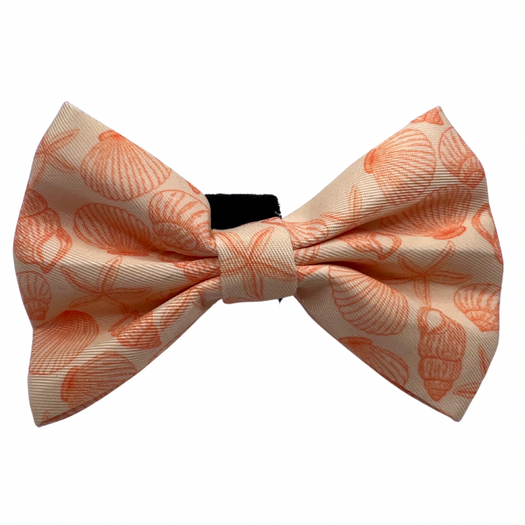 Lemon Sorbet - Bow