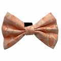 Lemon Sorbet - Bow
