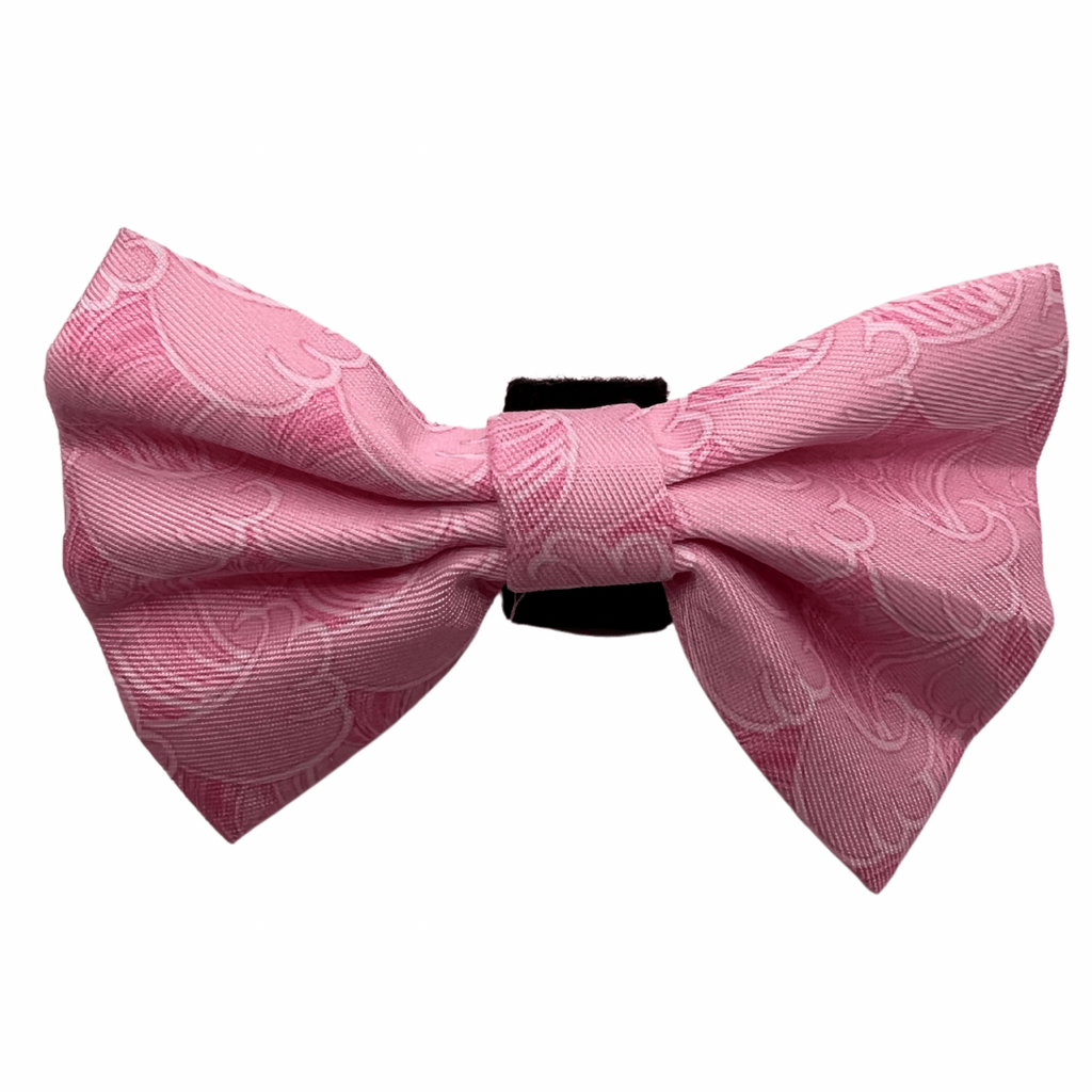 Raspberry Ripple - Bow