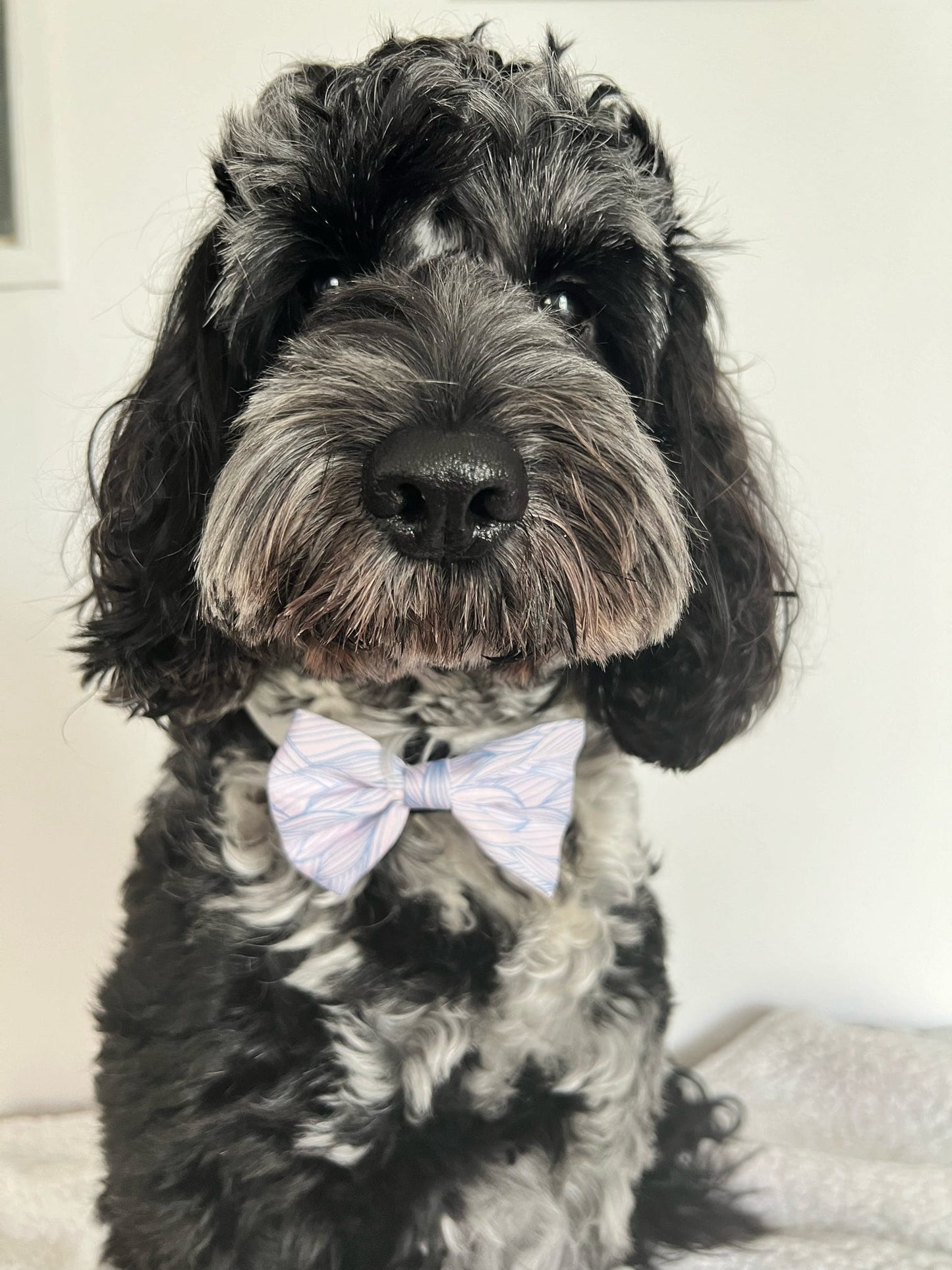 Lilac Tides Bow Tie