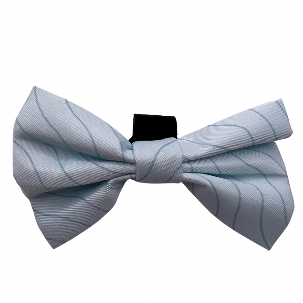 Blue Lagoon - Bow