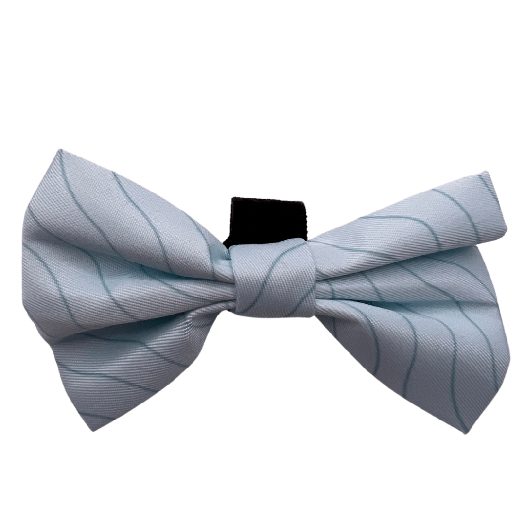 Blue Lagoon - Bow