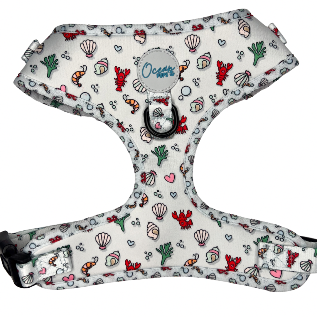 You’re My Lobster - Adjustable Harness