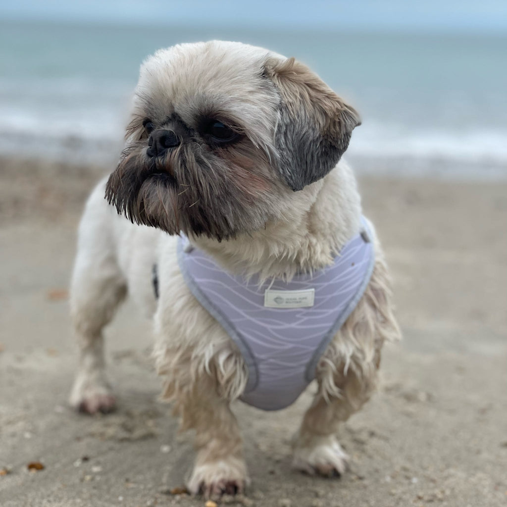 Ocean Breeze - Adjustable Harness