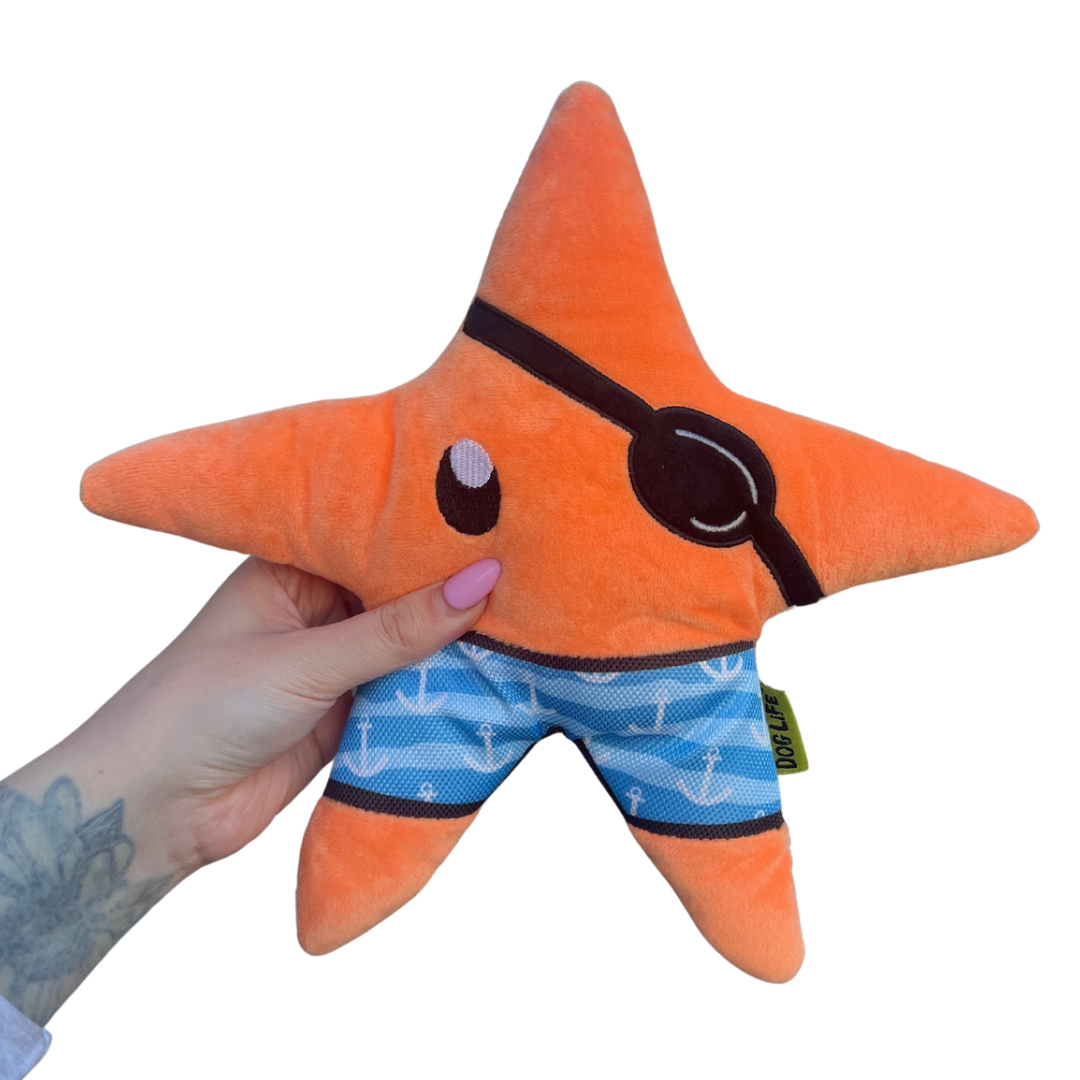 Starfish Toy