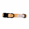 Lemon Sorbet - Adjustable Collar
