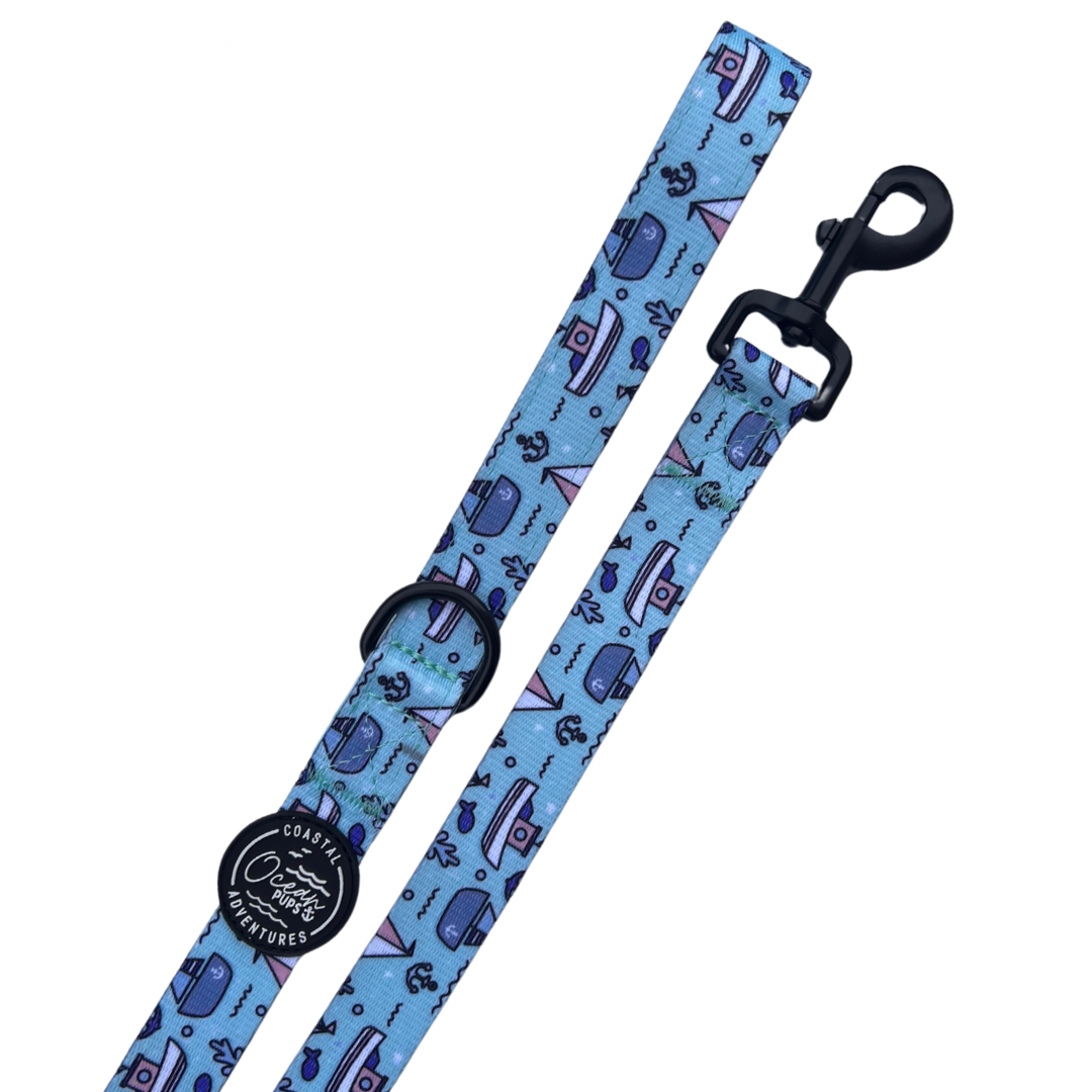 Coastal Adventures - Lead
