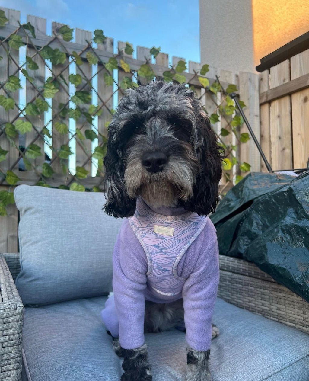 Lilac Tides - Adjustable Harness
