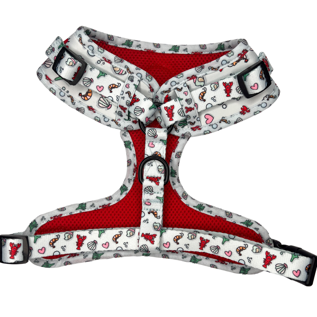 You’re My Lobster - Adjustable Harness